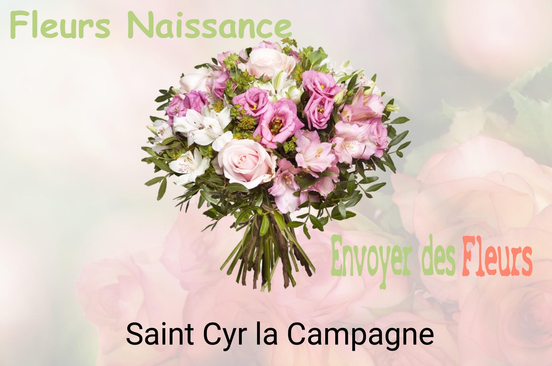 Bouquet de fleurs de naissance livré à Saint-Cyr-la-Campagne